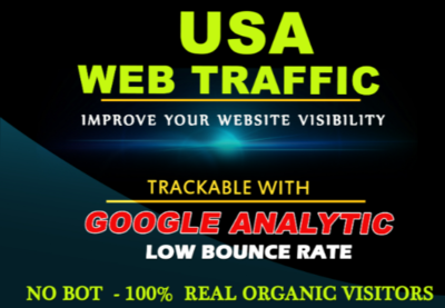 website traffic from USA {source google}